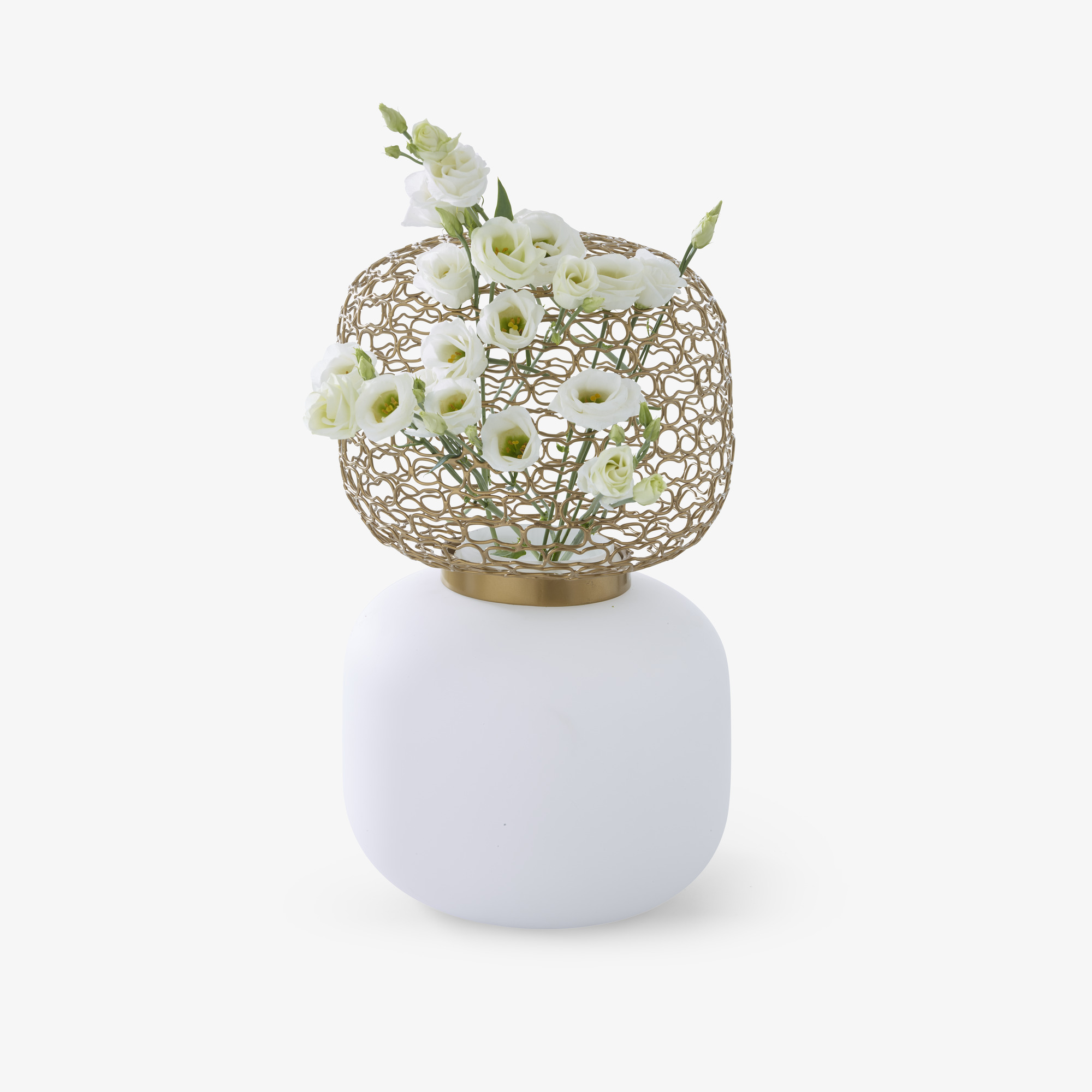 jali-vase-cinna-marie-christine-dorner