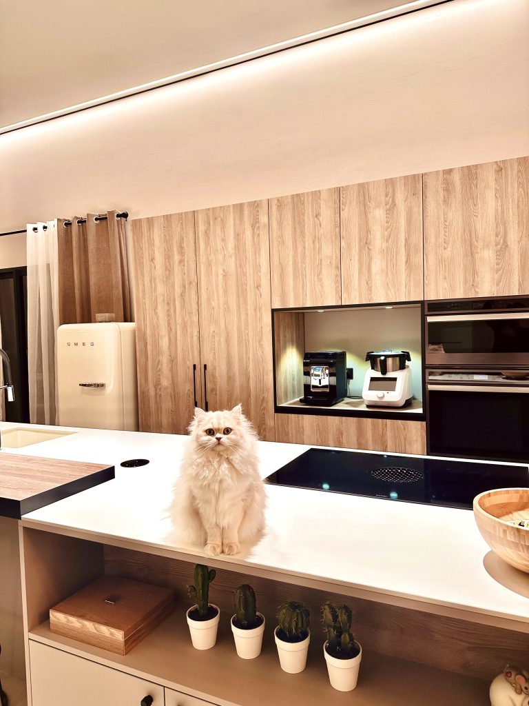 plan-travail-blanc-cuisine-luxembourg